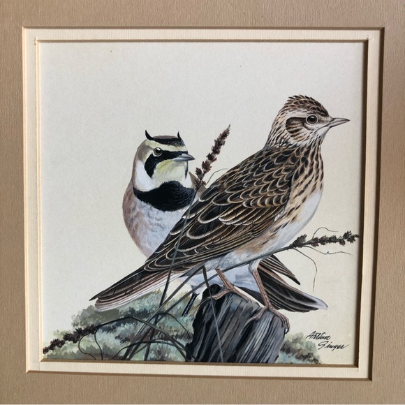 Original Arthur B. Singer (1917-1990) Horned Lark and Skylark - Picture 2 of 8
